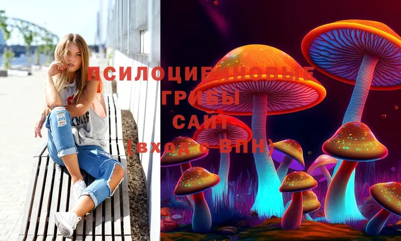 Псилоцибиновые грибы Magic Shrooms  Шуя 